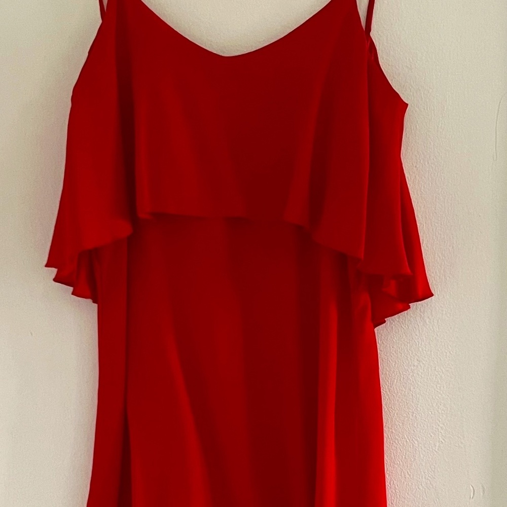 Blue Moon Red Silk Mini Dress